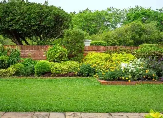 landscaping services Clinton